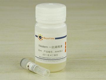 Di-Methyl-Histone H3(Lys9)抗体(兔多抗)